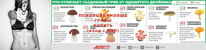 где найти наркотики  Анива  Галлюциногенные грибы мицелий 